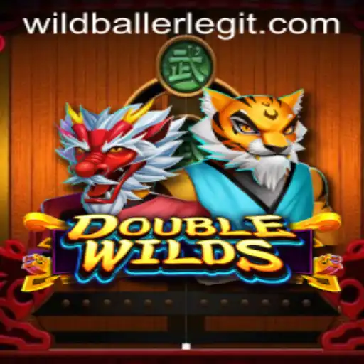 wildballer Casino Withdrawal