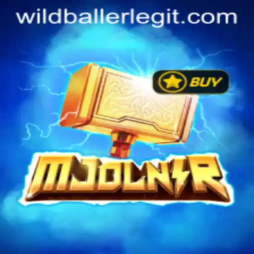 wildballer Casino App